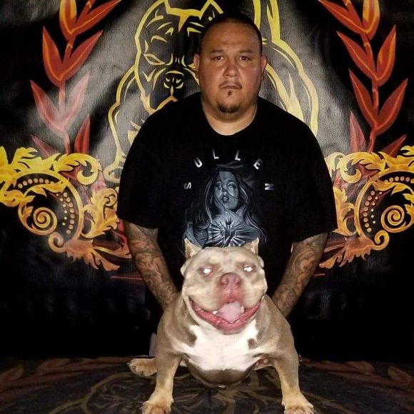 Meet your Posher, Simon - Picture 1 of 1